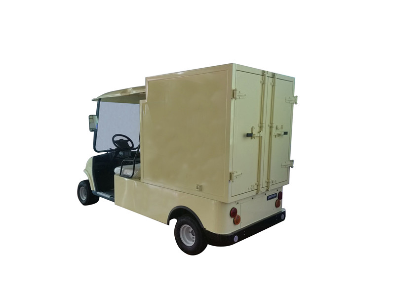 ECARMAS electric mini cargo van-1
